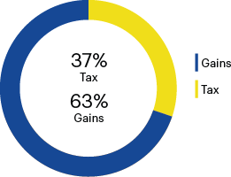short term capital gains chart