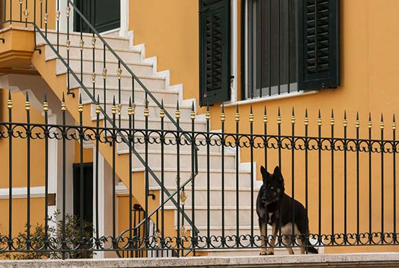 Learn more about early withdrawal penalties