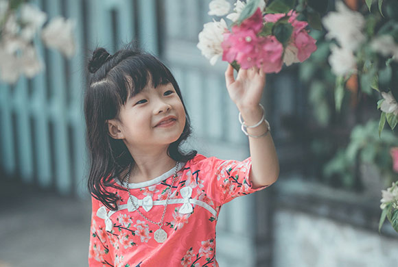 representative image of the standard deduction