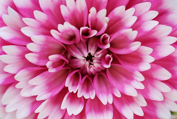 Click here to visit the ETRADE tax center