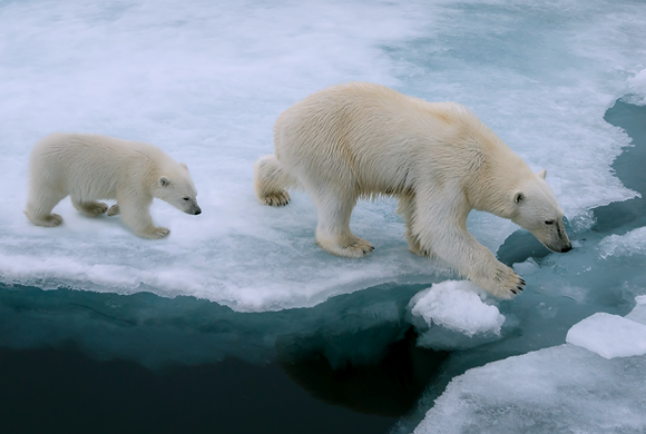 Learn more about the climate change theme