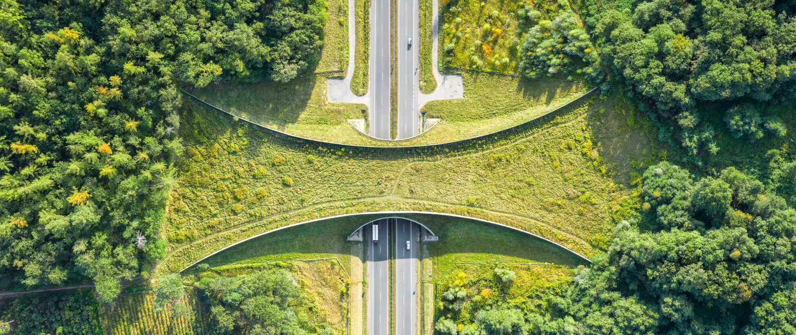 Bird eye view of field